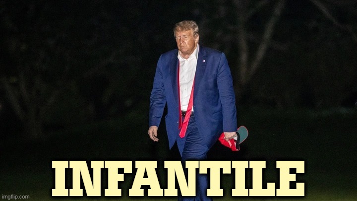 Trump Tulsa Big Fat Loser Defeat | INFANTILE | image tagged in trump tulsa big fat loser defeat,infant,childish,baby,angry baby | made w/ Imgflip meme maker
