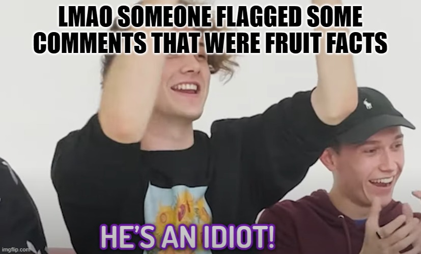 He's an idiot! | LMAO SOMEONE FLAGGED SOME COMMENTS THAT WERE FRUIT FACTS | image tagged in he's an idiot | made w/ Imgflip meme maker