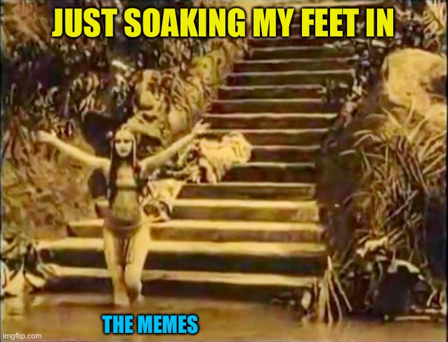 JUST SOAKING MY FEET IN THE MEMES | made w/ Imgflip meme maker