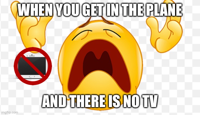 NOOOOOOOOŒ | WHEN YOU GET IN THE PLANE; AND THERE IS NO TV | image tagged in memes,noooooooooooooooooooooooo,why,sad,certified bruh moment | made w/ Imgflip meme maker