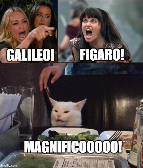 Queen! |  GALILEO! FIGARO! MAGNIFICOOOOO! | image tagged in screaming lady,screaming woman,cat at table,queen,bohemian rhapsody | made w/ Imgflip meme maker