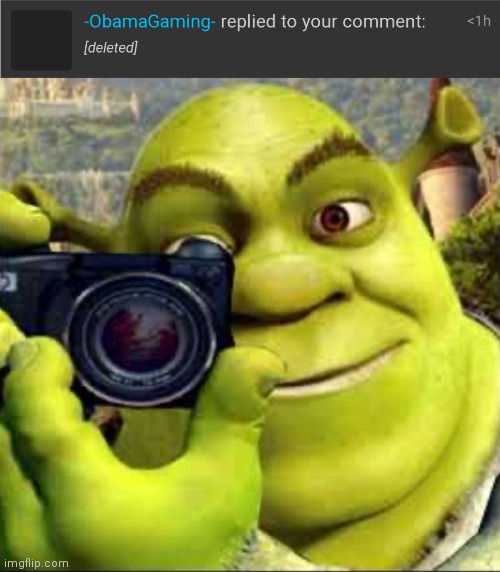 Caught in 4k my guy | image tagged in shrek taking a photo meme | made w/ Imgflip meme maker