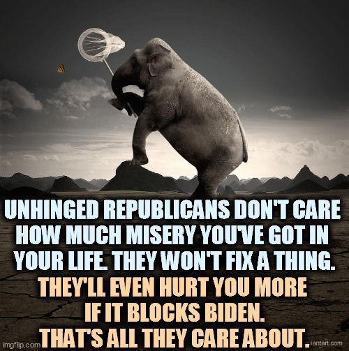 Crazed Republicans chasing butterflies | UNHINGED REPUBLICANS DON'T CARE 
HOW MUCH MISERY YOU'VE GOT IN 
YOUR LIFE. THEY WON'T FIX A THING. THEY'LL EVEN HURT YOU MORE 
IF IT BLOCKS BIDEN. THAT'S ALL THEY CARE ABOUT. | image tagged in crazy republican elephant with butterfly net,crazy,republicans,hurt,voters | made w/ Imgflip meme maker
