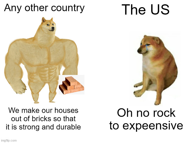 Brick go brrrr(ick) | Any other country; The US; We make our houses out of bricks so that it is strong and durable; Oh no rock to expeensive | image tagged in memes,buff doge vs cheems | made w/ Imgflip meme maker