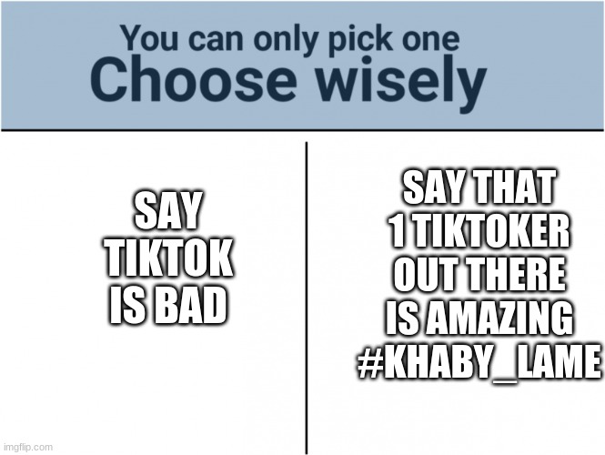 remember to respect peoples opinions |  SAY TIKTOK IS BAD; SAY THAT 1 TIKTOKER OUT THERE IS AMAZING
#KHABY_LAME | image tagged in you can pick only one choose wisely,opinions matter,yes,ok,mhm,indeed | made w/ Imgflip meme maker