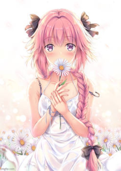 posting astolfo for no reason | made w/ Imgflip meme maker