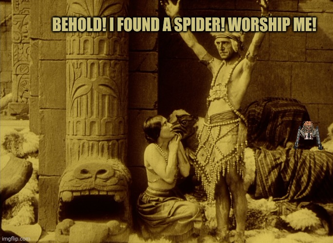 BEHOLD! I FOUND A SPIDER! WORSHIP ME! | made w/ Imgflip meme maker
