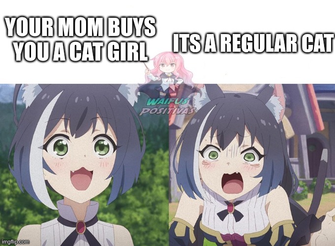 Momochi Feels | ITS A REGULAR CAT; YOUR MOM BUYS YOU A CAT GIRL | image tagged in momochi feels,kyaru,anime,anime meme,weebs | made w/ Imgflip meme maker