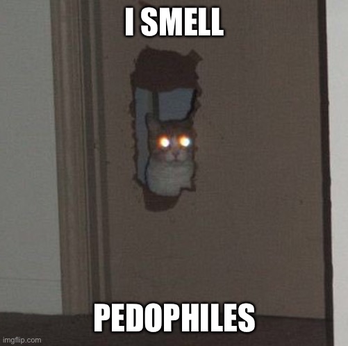 I SMELL PEDOPHILES | image tagged in cat staring through the door | made w/ Imgflip meme maker