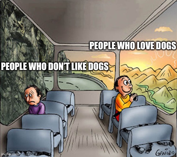 Dog Lovers | PEOPLE WHO LOVE DOGS; PEOPLE WHO DON’T LIKE DOGS | image tagged in two guys on a bus,dogs | made w/ Imgflip meme maker