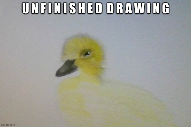 U N F I N I S H E D  D R A W I N G | made w/ Imgflip meme maker