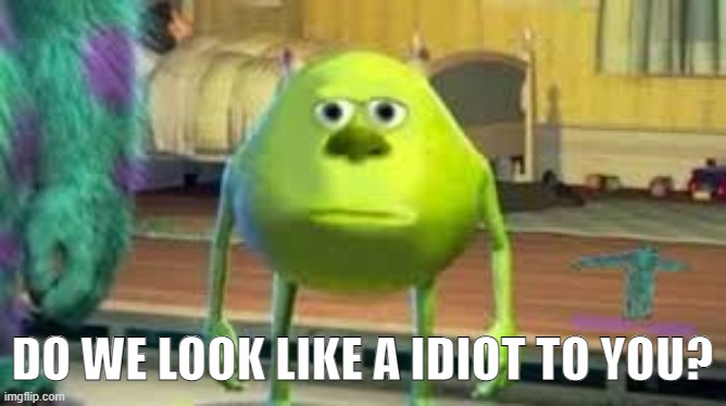 Mike Wazowski two eyed | DO WE LOOK LIKE A IDIOT TO YOU? | image tagged in mike wazowski two eyed | made w/ Imgflip meme maker