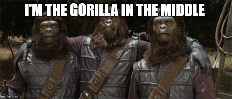 Andrew Taylor | I'M THE GORILLA IN THE MIDDLE | image tagged in andrew the gorilla,furry | made w/ Imgflip meme maker