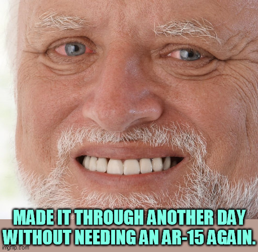 Whoever you are, wherever you live, a military assault weapon is not essential to protecting your family. | MADE IT THROUGH ANOTHER DAY WITHOUT NEEDING AN AR-15 AGAIN. | image tagged in hide the pain harold,ar-15,rifle,assault weapons | made w/ Imgflip meme maker