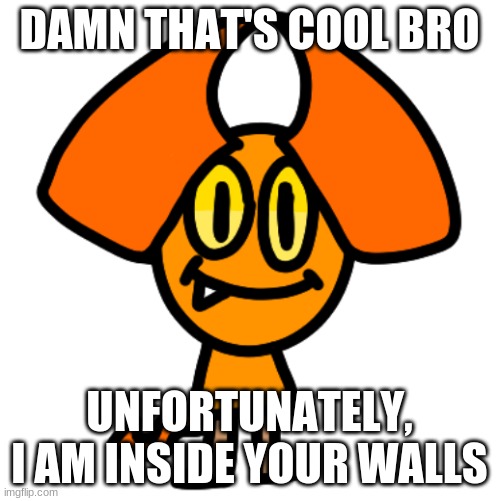 stoopy | DAMN THAT'S COOL BRO UNFORTUNATELY, I AM INSIDE YOUR WALLS | image tagged in stoopy | made w/ Imgflip meme maker