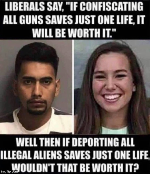 The American left is truly the greatest threat America has ever faced. | image tagged in democrats,gun control,illegal immigration,liberal logic,liberal hypocrisy,memes | made w/ Imgflip meme maker