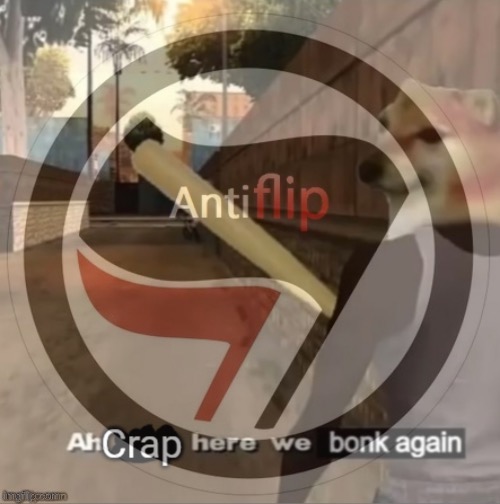 Antiflip ah crap here we bonk again | image tagged in antiflip ah crap here we bonk again | made w/ Imgflip meme maker