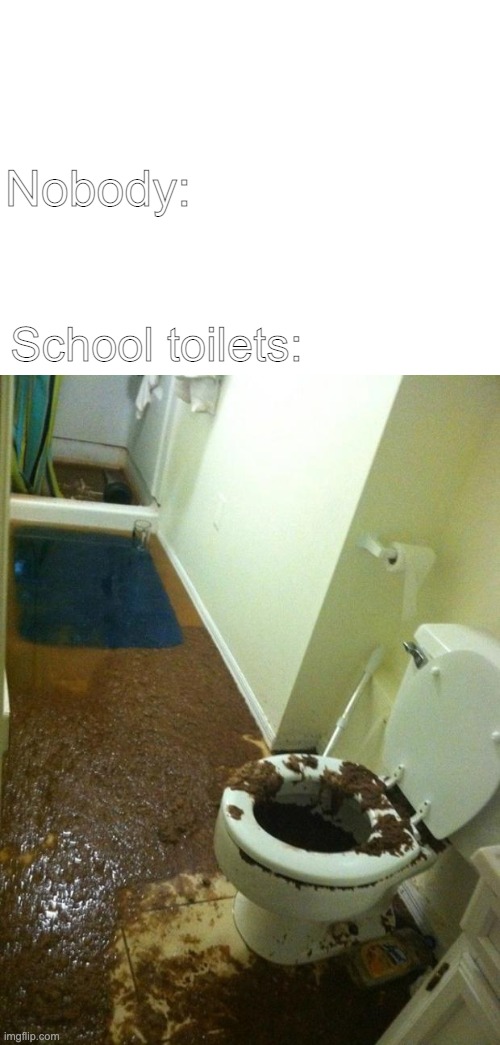 School toilets be like | Nobody:; School toilets: | image tagged in blank white template,poop,school,toilet | made w/ Imgflip meme maker