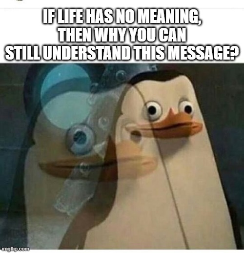 Penguin existence crisis | IF LIFE HAS NO MEANING, THEN WHY YOU CAN STILL UNDERSTAND THIS MESSAGE? | image tagged in madagascar meme | made w/ Imgflip meme maker