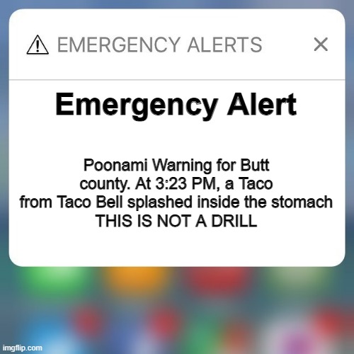 Eating Taco Bell be like: |  Emergency Alert; Poonami Warning for Butt county. At 3:23 PM, a Taco from Taco Bell splashed inside the stomach
THIS IS NOT A DRILL | image tagged in emergency alert | made w/ Imgflip meme maker