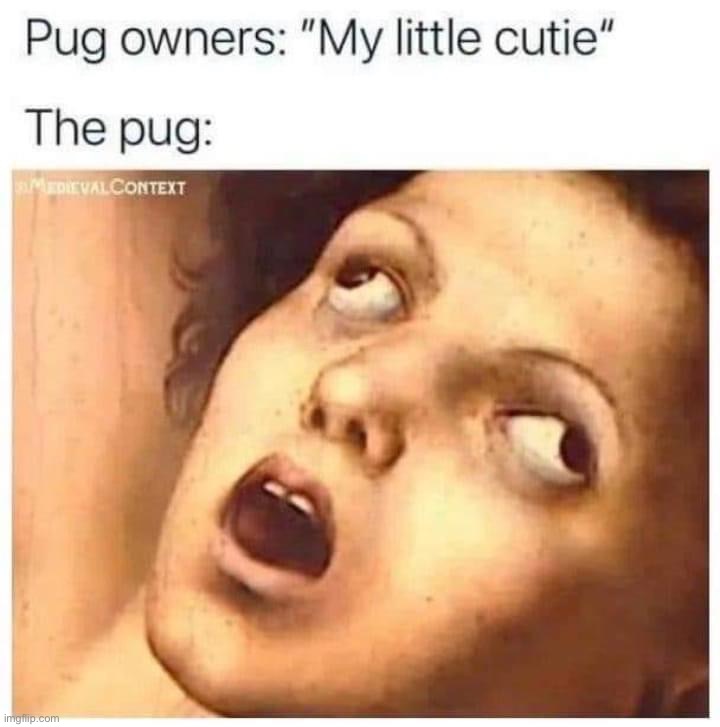 Pug owners vs pug | image tagged in pug owners vs pug,pug,repost | made w/ Imgflip meme maker