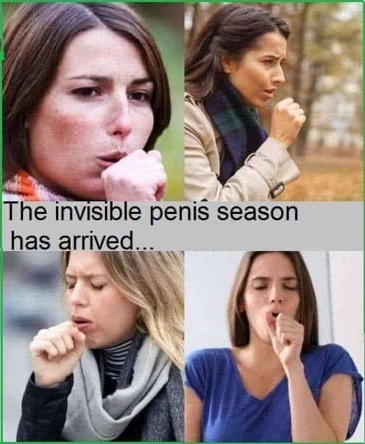 The invisible penis season Blank Meme Template