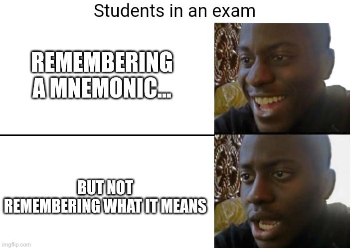 The struggle is real | Students in an exam; REMEMBERING A MNEMONIC... BUT NOT REMEMBERING WHAT IT MEANS | image tagged in disappointed black guy,mnemonics,school | made w/ Imgflip meme maker