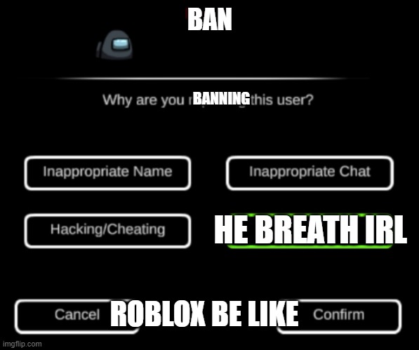Why Are You Reporting This User? | BAN; BANNING; HE BREATH IRL; ROBLOX BE LIKE | image tagged in why are you reporting this user | made w/ Imgflip meme maker