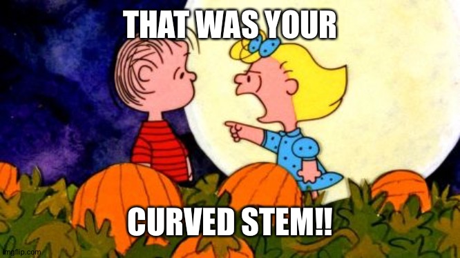 Great pumpkin | THAT WAS YOUR; CURVED STEM!! | image tagged in great pumpkin | made w/ Imgflip meme maker