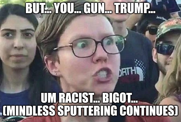 Triggered Liberal | BUT... YOU... GUN... TRUMP... UM RACIST... BIGOT... 
(MINDLESS SPUTTERING CONTINUES) | image tagged in triggered liberal | made w/ Imgflip meme maker