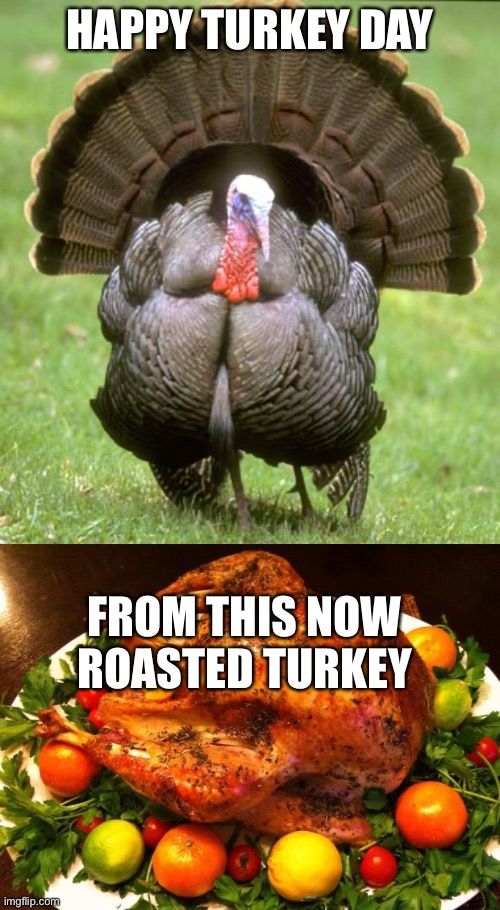 happy thanksgiving | HAPPY TURKEY DAY; FROM THIS NOW ROASTED TURKEY | image tagged in memes,turkey,roasted turkey,lol,thanksgiving | made w/ Imgflip meme maker