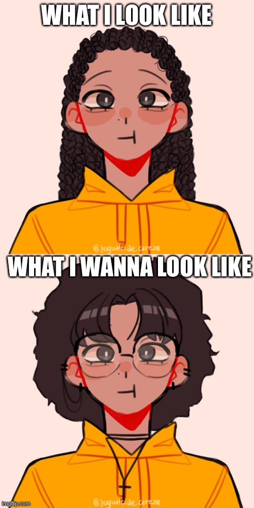 Basically less feminine with more piercings | WHAT I LOOK LIKE; WHAT I WANNA LOOK LIKE | made w/ Imgflip meme maker