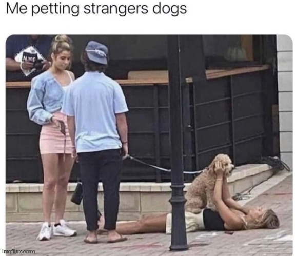 I wish i could that | image tagged in memes,petting,strangers,dogs | made w/ Imgflip meme maker