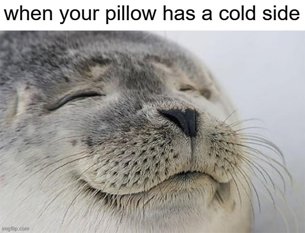 free mozuku | when your pillow has a cold side | image tagged in memes,satisfied seal | made w/ Imgflip meme maker