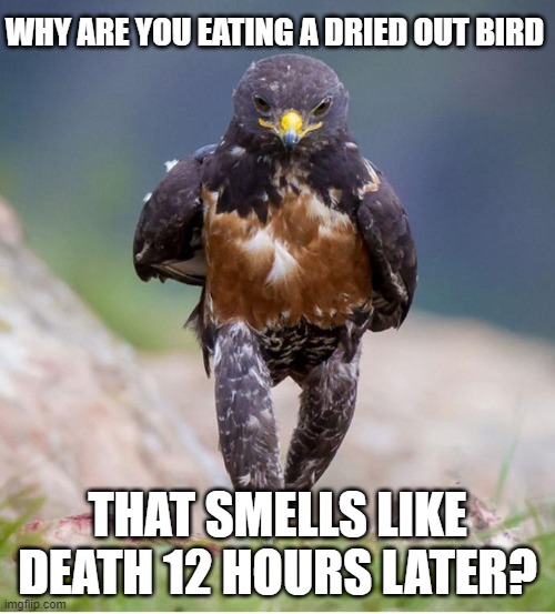 Frog Legs and Alligator | WHY ARE YOU EATING A DRIED OUT BIRD; THAT SMELLS LIKE DEATH 12 HOURS LATER? | image tagged in wondering wandering falcon,special days | made w/ Imgflip meme maker