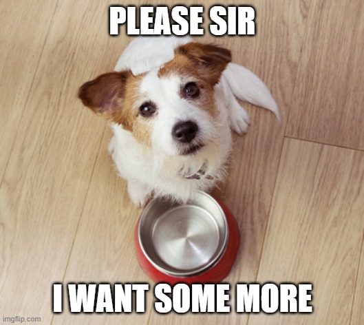 PLEASE SIR I WANT SOME MORE | made w/ Imgflip meme maker