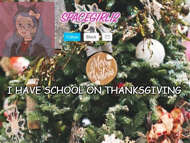 Spacegirl12 christmas | I HAVE SCHOOL ON THANKSGIVING | image tagged in spacegirl12 christmas | made w/ Imgflip meme maker