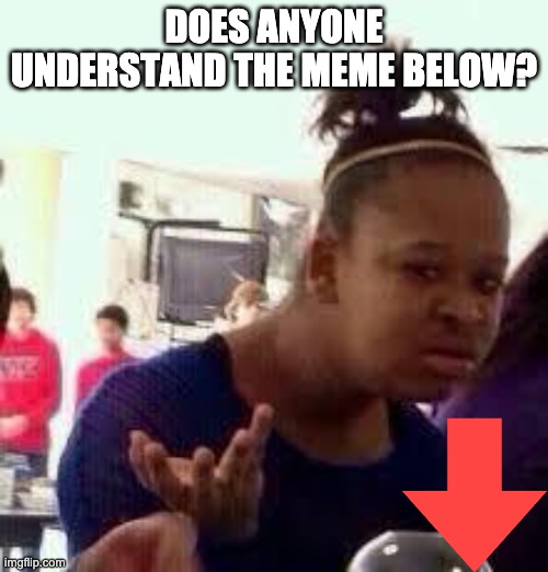 ???? | DOES ANYONE UNDERSTAND THE MEME BELOW? | image tagged in bruh,memes,misunderstanding | made w/ Imgflip meme maker