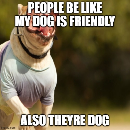 #relateable | PEOPLE BE LIKE MY DOG IS FRIENDLY; ALSO THEYRE DOG | image tagged in funny memes,relatable,funny | made w/ Imgflip meme maker