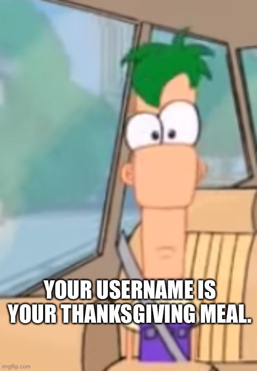 Front Facing Ferb | YOUR USERNAME IS YOUR THANKSGIVING MEAL. | image tagged in front facing ferb | made w/ Imgflip meme maker