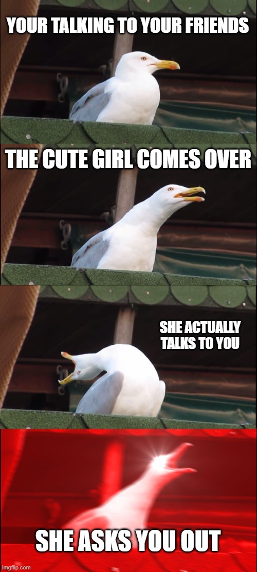 hi | YOUR TALKING TO YOUR FRIENDS; THE CUTE GIRL COMES OVER; SHE ACTUALLY TALKS TO YOU; SHE ASKS YOU OUT | image tagged in memes,inhaling seagull | made w/ Imgflip meme maker