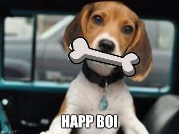 He happ as hecc | HAPP BOI | image tagged in cute puppy | made w/ Imgflip meme maker