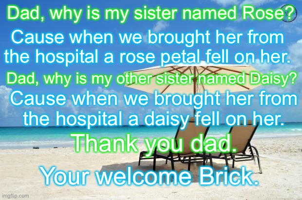 Does this count as dark humor? | Dad, why is my sister named Rose? Cause when we brought her from the hospital a rose petal fell on her. Dad, why is my other sister named Daisy? Cause when we brought her from the hospital a daisy fell on her. Thank you dad. Your welcome Brick. | image tagged in beach | made w/ Imgflip meme maker