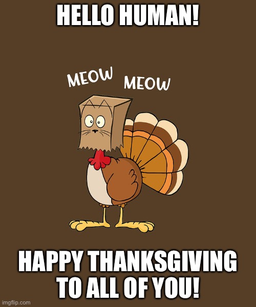Just to tell you “happy thanksgiving!” |  HELLO HUMAN! HAPPY THANKSGIVING TO ALL OF YOU! | image tagged in thanksgiving,turkey,bag,happy thanksgiving | made w/ Imgflip meme maker