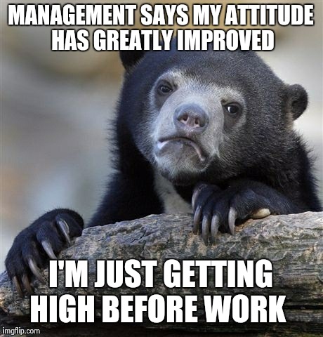 Confession Bear | MANAGEMENT SAYS MY ATTITUDE HAS GREATLY IMPROVED I'M JUST GETTING HIGH BEFORE WORK | image tagged in memes,confession bear,AdviceAnimals | made w/ Imgflip meme maker
