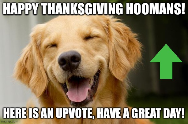 Happy thanksgiving! | HAPPY THANKSGIVING HOOMANS! HERE IS AN UPVOTE, HAVE A GREAT DAY! | image tagged in happy dog,happy thanksgiving | made w/ Imgflip meme maker