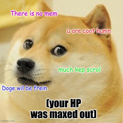 Doge Meme | There is no mem; u are coot humn; much kep scrol; Doge wil be frein; (your HP was maxed out) | image tagged in memes,doge | made w/ Imgflip meme maker