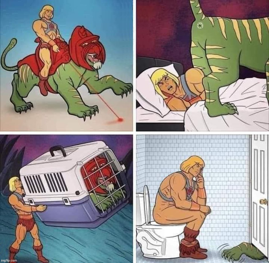 Cat problems even for He-man | image tagged in comics/cartoons,heman | made w/ Imgflip meme maker