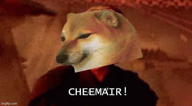 lier | CHEEMAIR! | image tagged in lier | made w/ Imgflip meme maker