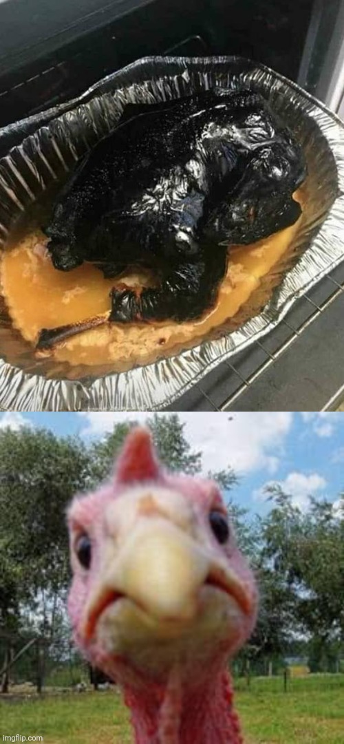 Burnt Turkey | image tagged in turkey,you had one job,memes,thanksgiving,turkeys,fails | made w/ Imgflip meme maker